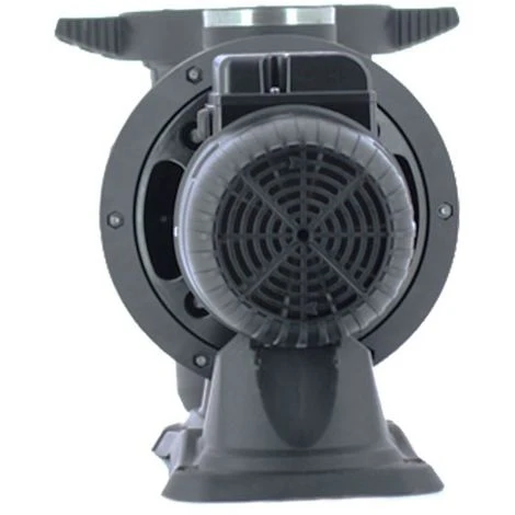 Pompe Piscine - Euroswim 150 M De DAB 4 Pompe Piscine - Euroswim 150 M De DAB – Image 4