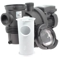 Pompe Piscine - Naiade 22 Mono De Espa