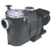 ASTRALPOOL Pompe Filtration Astral EUROPA 1 Cv Mono 15,4 M3/h