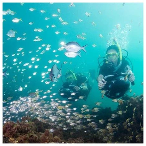 SUINGA Yamaha Seascooter RDS280 Propulseur Aquatique 3 SUINGA Yamaha Seascooter RDS280 Propulseur Aquatique – Image 3