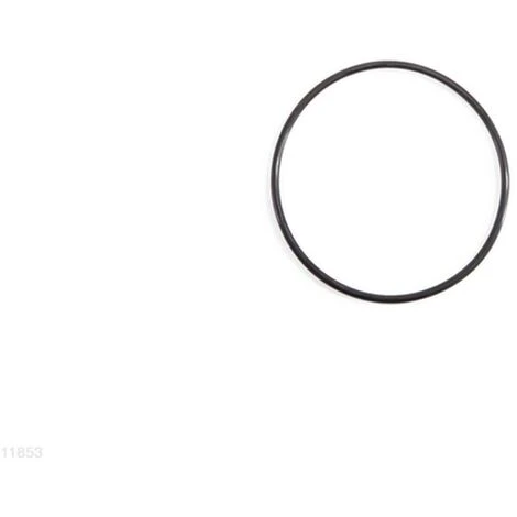 INTEX ELETROLYTIC CELL O-RING FOR 28423/28424 1 INTEX ELETROLYTIC CELL O-RING FOR 28423/28424