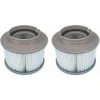 SINCèREETALI Lot De 2 Filtres De Rechange Pour MSPA FD2089 Pour Pompes à Cartouche Pour Tous Les Spas Actuels MSPA