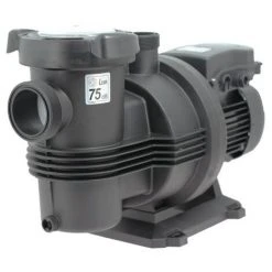 Pompe Piscine - Naiade 15 Mono De Espa